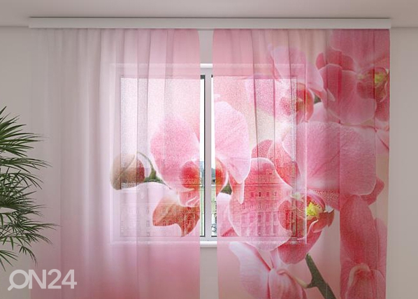 Šifoon-fotokardin Pink orchid 240x220 cm