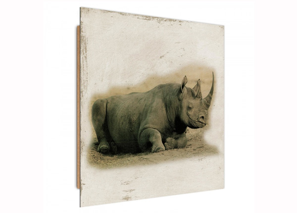 3D настенная картина Rhinoceros 30x30 см