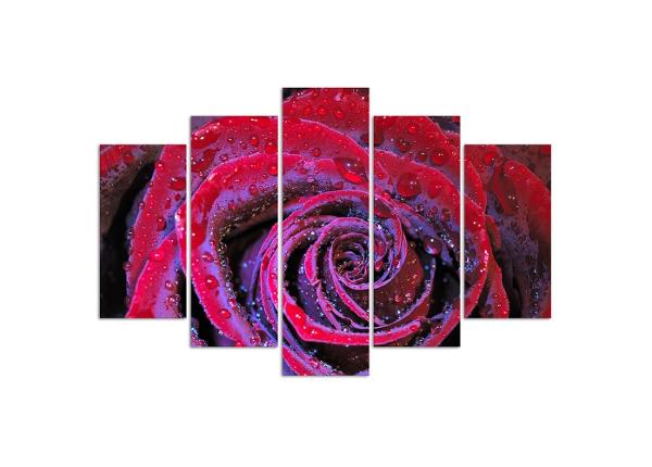 5-osainen sisustustaulu Dew rose