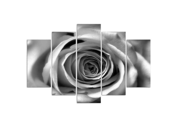 5-osainen sisustustaulu Rose Flower