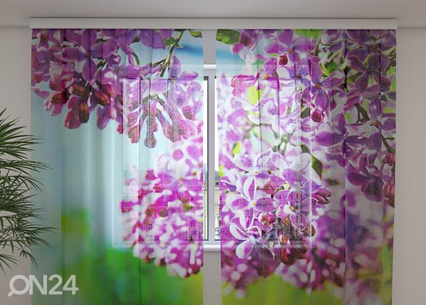 Šifoon-fotokardin Lilac may 240x220 cm