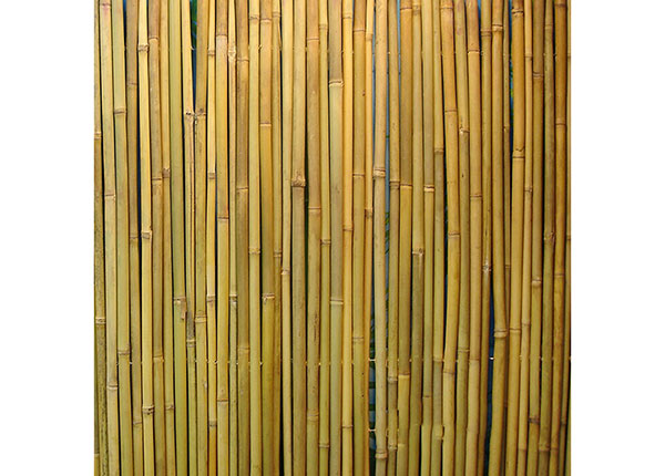Bambusaed rullis 2x3 m