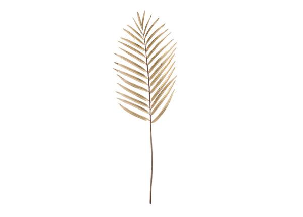 Dekoratsioon Palm 30x89 cm