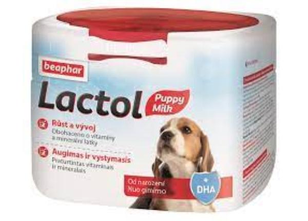 Emapiimaasendaja kutsikatele Beaphar Lactol Puppy (Puppy Milk) 250 g