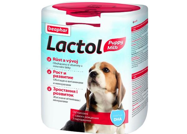 Emapiimaasendaja kutsikatele Beaphar Lactol Puppy (Puppy Milk) 500 gr