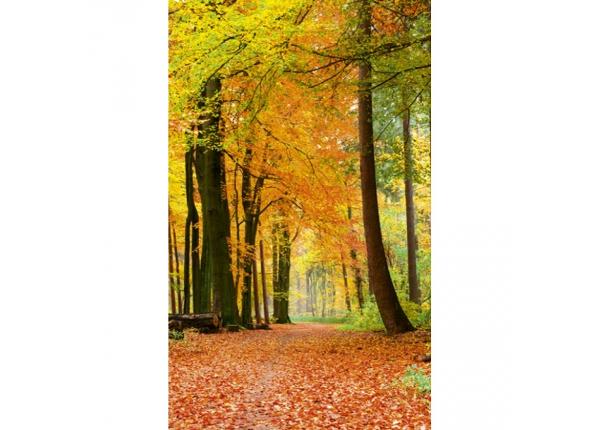 Fliis fototapeet Autumn forest