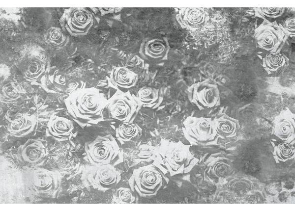Fliis fototapeet Roses Abstract II