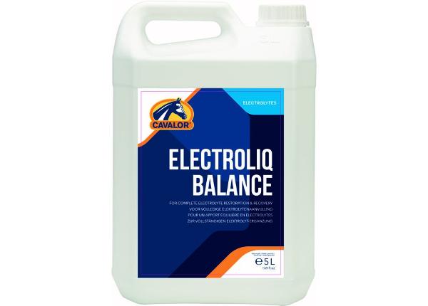 Hevosen lisäravinto electrolyte balance 5 l