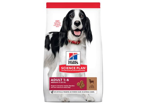 Hill's Science Plan koiranruoka lampaanlihalla & riisi keskikokoiselle koiralle 14 kg