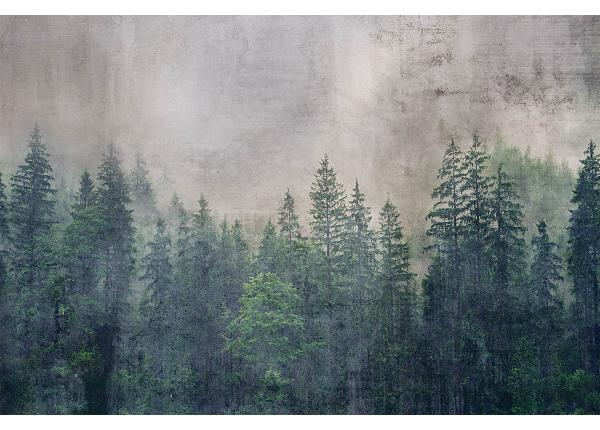 Isekleepuv fototapeet Forest Abstract