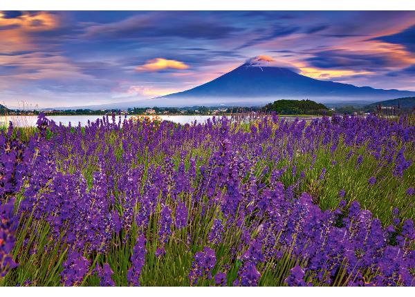 Itsekiinnityvä kuvatapetti Fuji Mountain And Lavender
