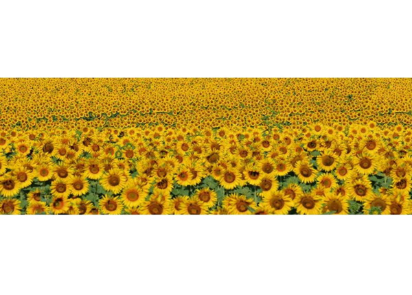 Keittiön välitila Sunflowers