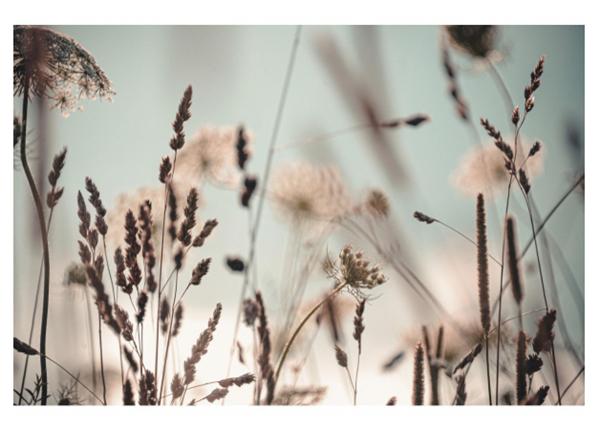 Klaaspilt Dandelion 120x80 cm