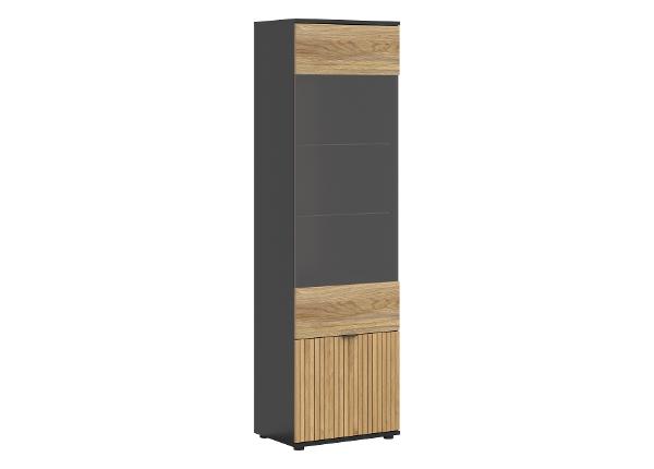 Klaasuksega kapp Luen