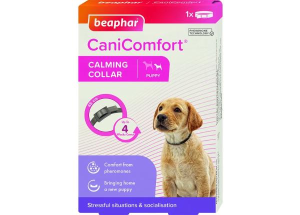 Koiranpennun kaulapanta Beaphar Comfort Collar Puppy 45 cm