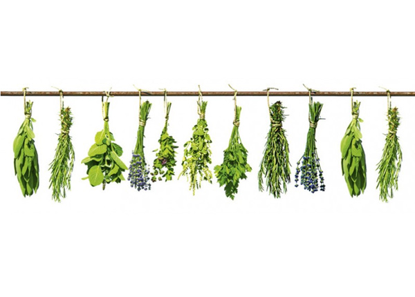 Köögi tagasein Herbs 180x60 cm