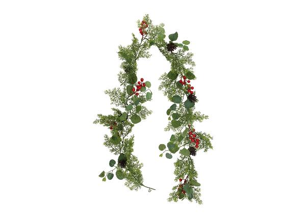 Koristekasvi Greenland, 180 cm, marjoilla ja eukalypuksella