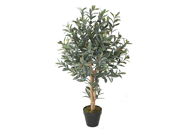 Koristekasvi Oliivi 90 cm