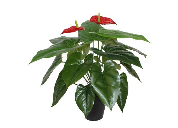 Kunsttaim Anthurium 45 cm