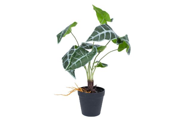 Kunsttaim Greenland Alocasia 40 cm