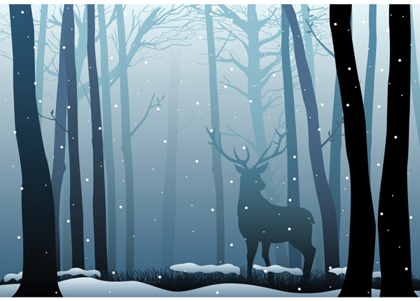 Kuvatapetti Deer in the dark wood 365x254cm