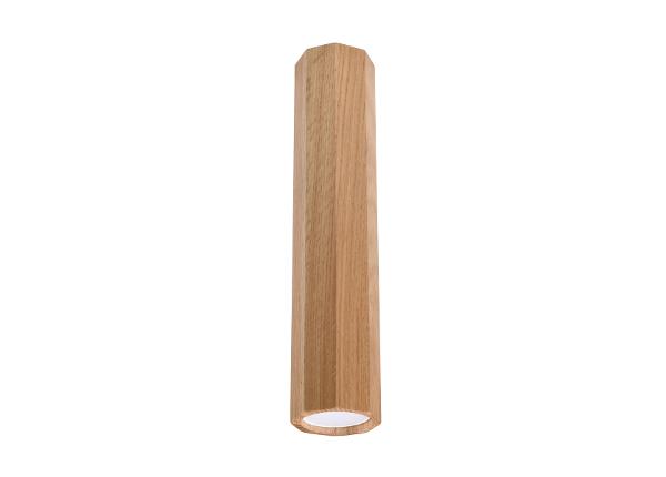 Laelamp Zeke 30, tamm
