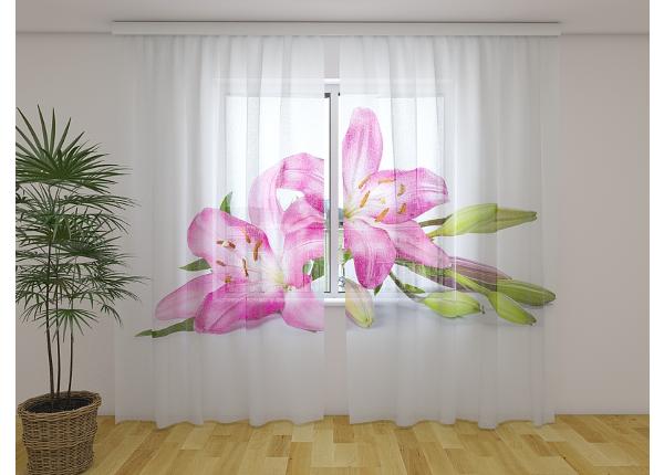 Läpinäkyvä kuvaverho Big Pink Lilies 240x220 cm