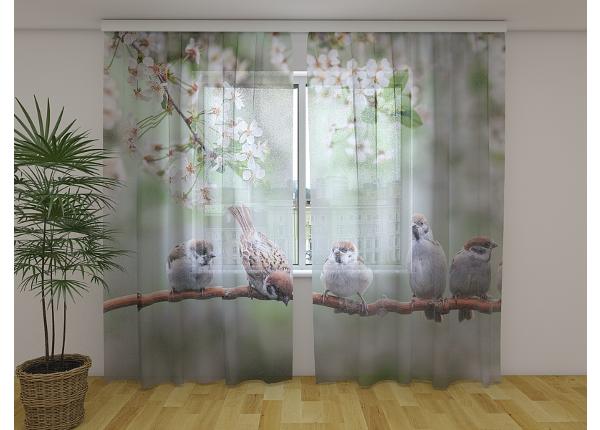 Läpinäkyvä kuvaverho Small Birds on a Blooming Tree 240x220 cm