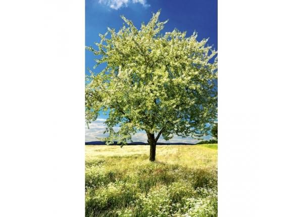 Non-woven Blossom tree 150x250 cm