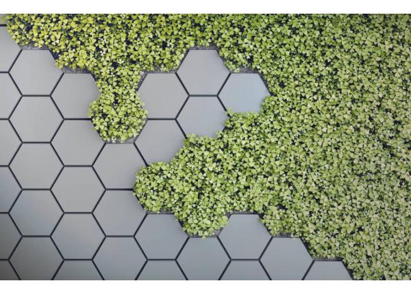 Non-woven kuvatapetti 3D Green Vertical Garden 368x254 cm
