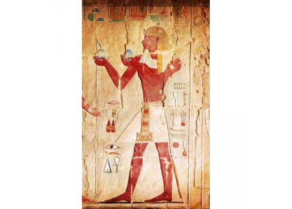 Non-woven kuvatapetti Egypt painting