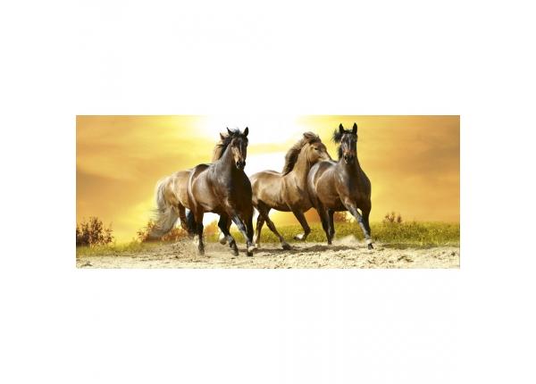 Non-woven kuvatapetti Horses in sunset
