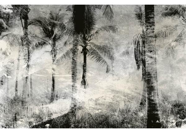 Non-woven kuvatapetti Palm Trees Abstract