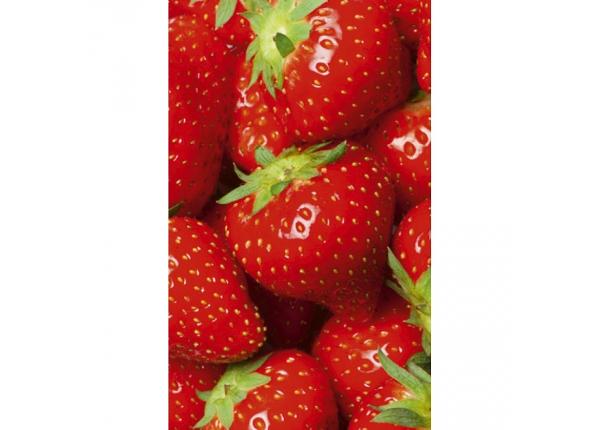Non-woven kuvatapetti Strawberry 150x250 cm