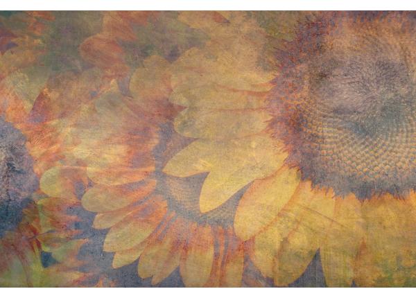 Non-woven kuvatapetti Sunflower Abstract
