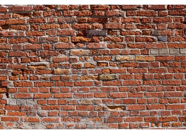 Non-woven kuvatapetti Texture Of An Old Brick Wall