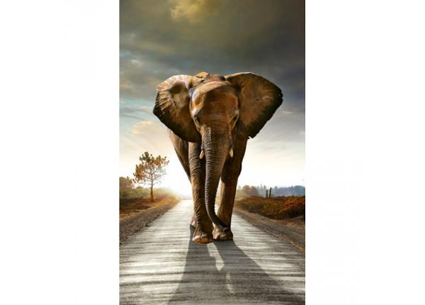 Non-woven kuvatapetti Walking elephant