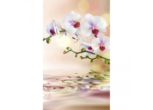 Non-woven kuvatapetti White orchid