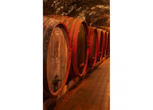 Non-woven kuvatapetti Wine barrels