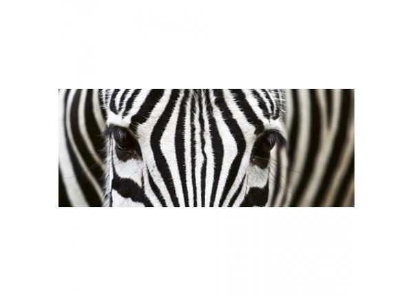 Non-woven kuvatapetti Zebra
