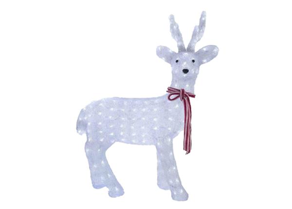 Peura LED-joulukoriste