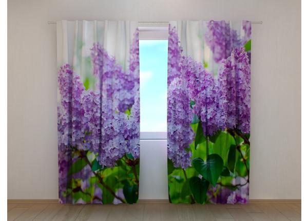 Poolpimendav fotokardin Garden Lilac 240x220 cm