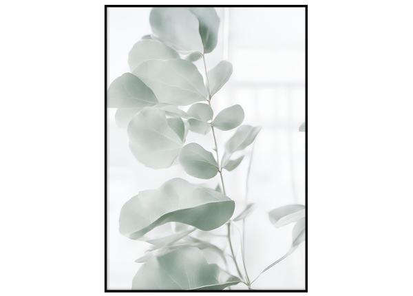 Poster Rohelised eukalüpti lehed I