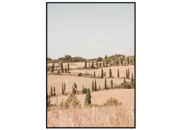 Poster Tuscany II