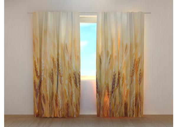 Puolipimentävä kuvaverho Golden Wheat Field 240x220 cm