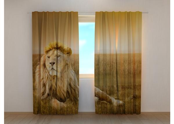Puolipimentävä kuvaverho King of Beasts 240x220 cm
