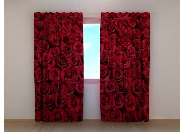 Puolipimentävä kuvaverho Lovely Red Roses 240x220 cm