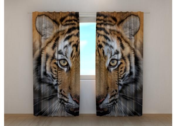 Puolipimentävä kuvaverho Siberian Tiger 240x220 cm