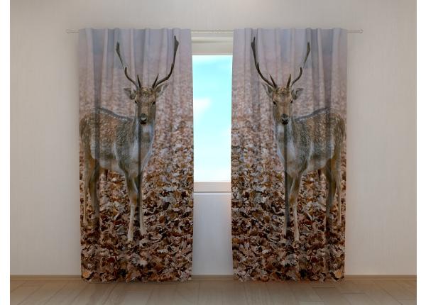Puolipimentävä kuvaverho Young Deer in Autumn Forest 240x220 cm