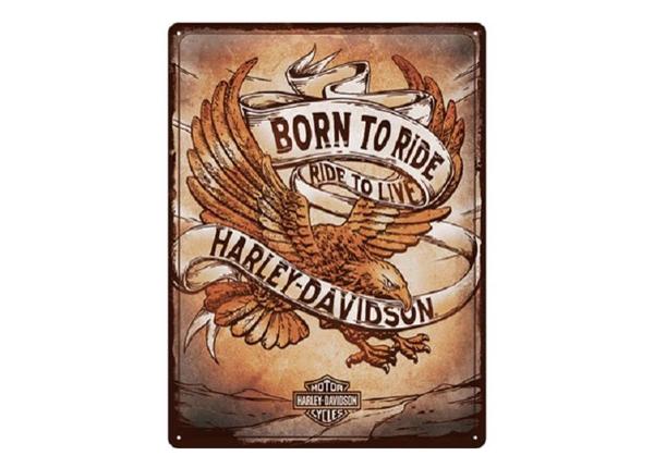 Retro metallitaulu Harley Davidson - Born to Ride Eagle 30x40 cm